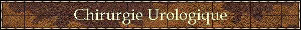 Chirurgie Urologique